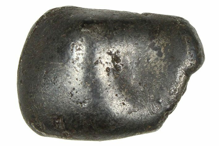 Fusion Crusted Sikhote-Alin Iron Meteorite ( g) - Russia #375324